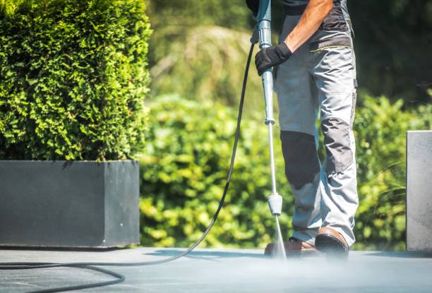 Best Sidewalk and Walkway Cleaning  in Dade City, FL